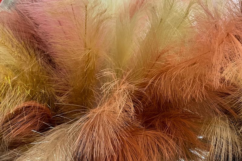 Plumes au Château Monfort, Milan