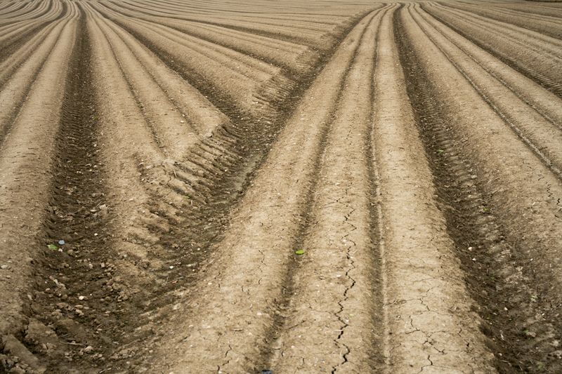 Sillons dans un champ à Plestin les Grèves