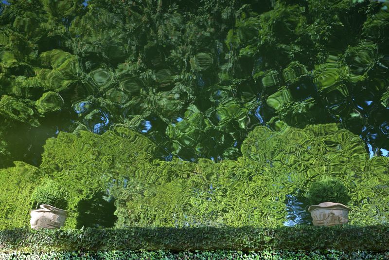 Reflet dans un bassin du jardin de Eyrignac, Dordogne